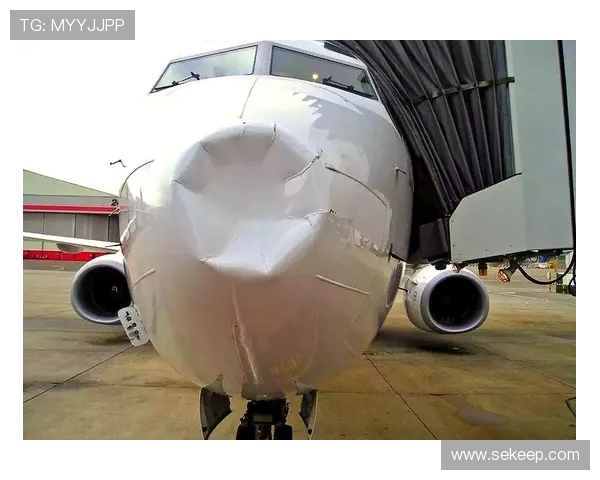 飞机机身结构的抗鸟击性能试验